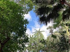 -中国科学院西双版纳热带植物园