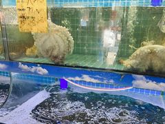 -坛南湾阿强农家乐.海鲜大排档老字号(福州地标美食店)