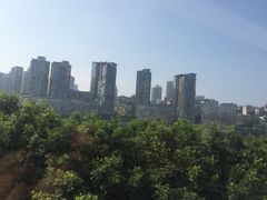 -南山植物园