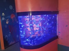 -烟台海昌鲸鲨海洋公园