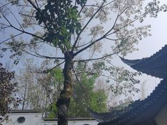 -关岳庙