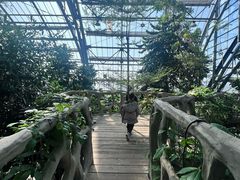 -南山植物园