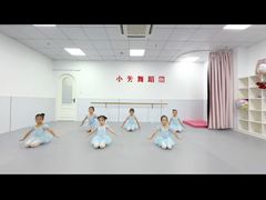 -小芳舞蹈团·少儿舞蹈·中国舞(龙江校区)
