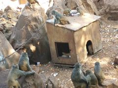 -昆明动物园
