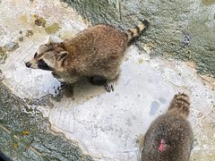 -杭州野生动物世界