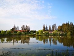 -上海长兴岛郊野公园