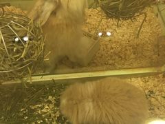 -龙猫仔乐园(惠福东路店)