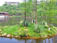 -重庆彩云湖湿地公园