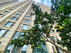 -海中洲国际大酒店-自助餐厅