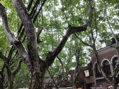 -金太粽(上海弄堂第一粽店)