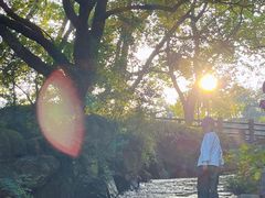 -白马涧龙池景区