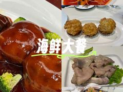 -丁老爷子苏香圆