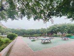-西南政法大学(沙坪坝校区)