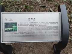 -桤木河湿地公园