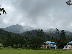 -海南热带雨林国家公园吊罗山景区