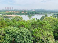 -东莞市虎英郊野公园