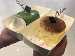-狐狸和向日葵(北京路店)