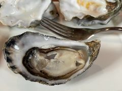 -普朗姆生蚝吧(原建国路店)
