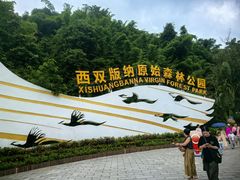 -西双版纳原始森林公园