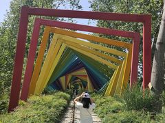 -合肥滨湖国家森林公园