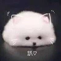 -咪咪专业脱毛连锁机构