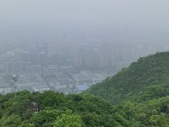 -杭州半山国家森林公园