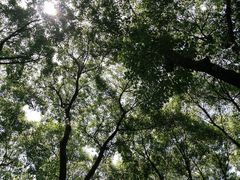 -荆川公园