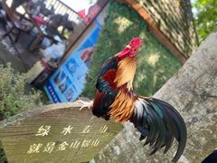 -西双版纳傣族园