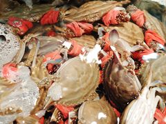 -旺角小渔村(幸福中路店)