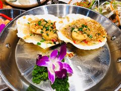 蒜蓉粉丝蒸扇贝-必点海鲜·鲅鱼水饺(鞍山西道店)
