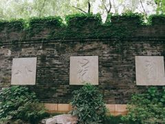 -静安公园(静安寺街道)