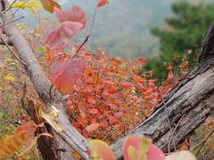 -香山公园-东宫门售票处