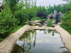 -廊坊市自然公园