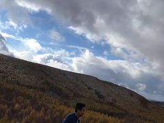 -塞罕坝国家级自然保护区