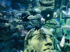 -成都浩海立方海洋公园