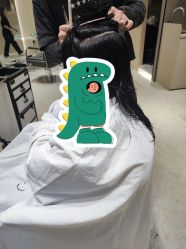 -Mentor Hair Salon