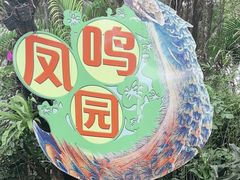 -广州长隆飞鸟乐园