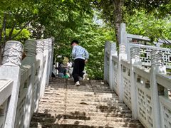 -龟山风景区-龟山电视塔