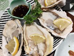 -黑松白鹿(崇文门新活馆店)