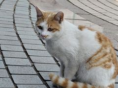 -五四广场