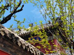 -潭柘寺景区