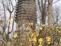 -玲珑塔公园