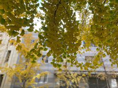 -北京网络广播电视台