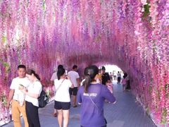 -北戴河圣蓝海洋公园