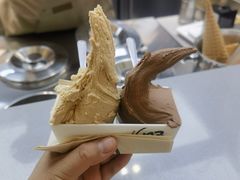 正山小种-野人先生现做冰淇淋(北京悠唐购物中心店)