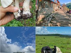 -芦芽山旅游度假区
