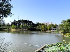 -江心屿景区