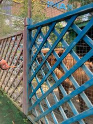 -萌宠亲子动物乐园(槐房万达店)