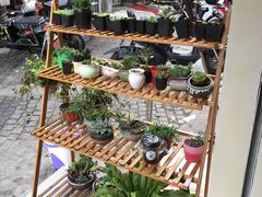 -白日梦奶茶