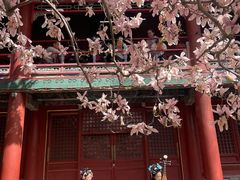 -潭柘寺景区